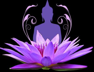 lotus et bouddha violet1 coupée 920